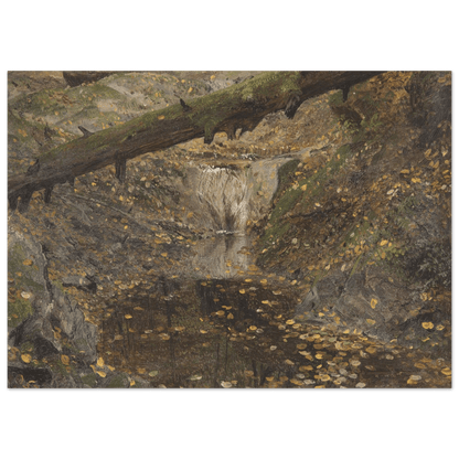Aluminum Print | Woodland Stream - Lyrea
