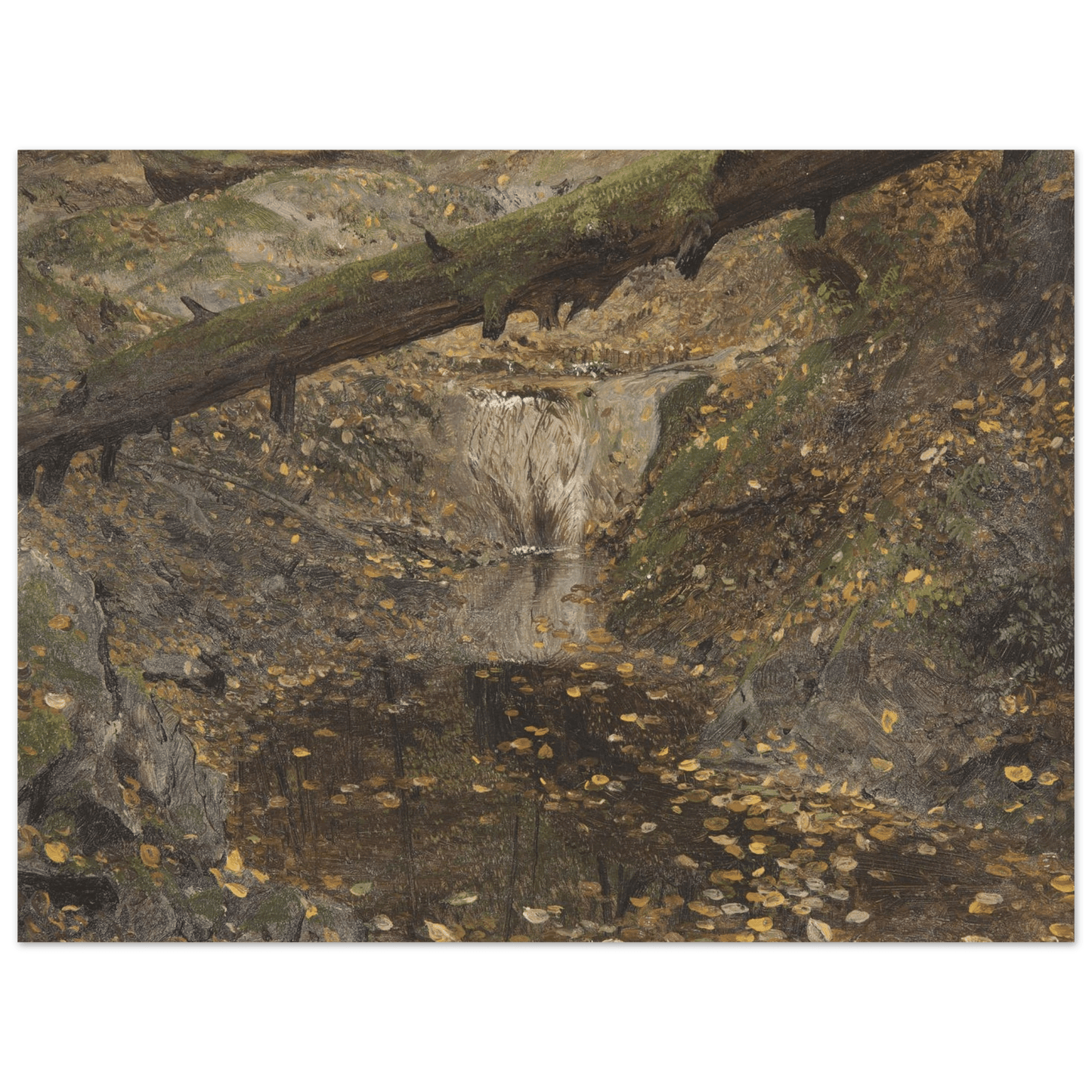 Aluminum Print | Woodland Stream - Lyrea
