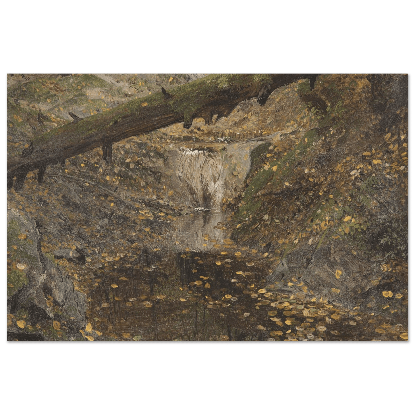 Aluminum Print | Woodland Stream - Lyrea