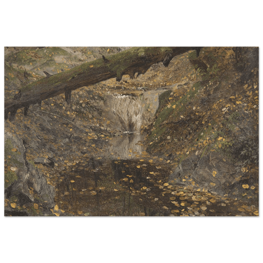 Aluminum Print | Woodland Stream - Lyrea
