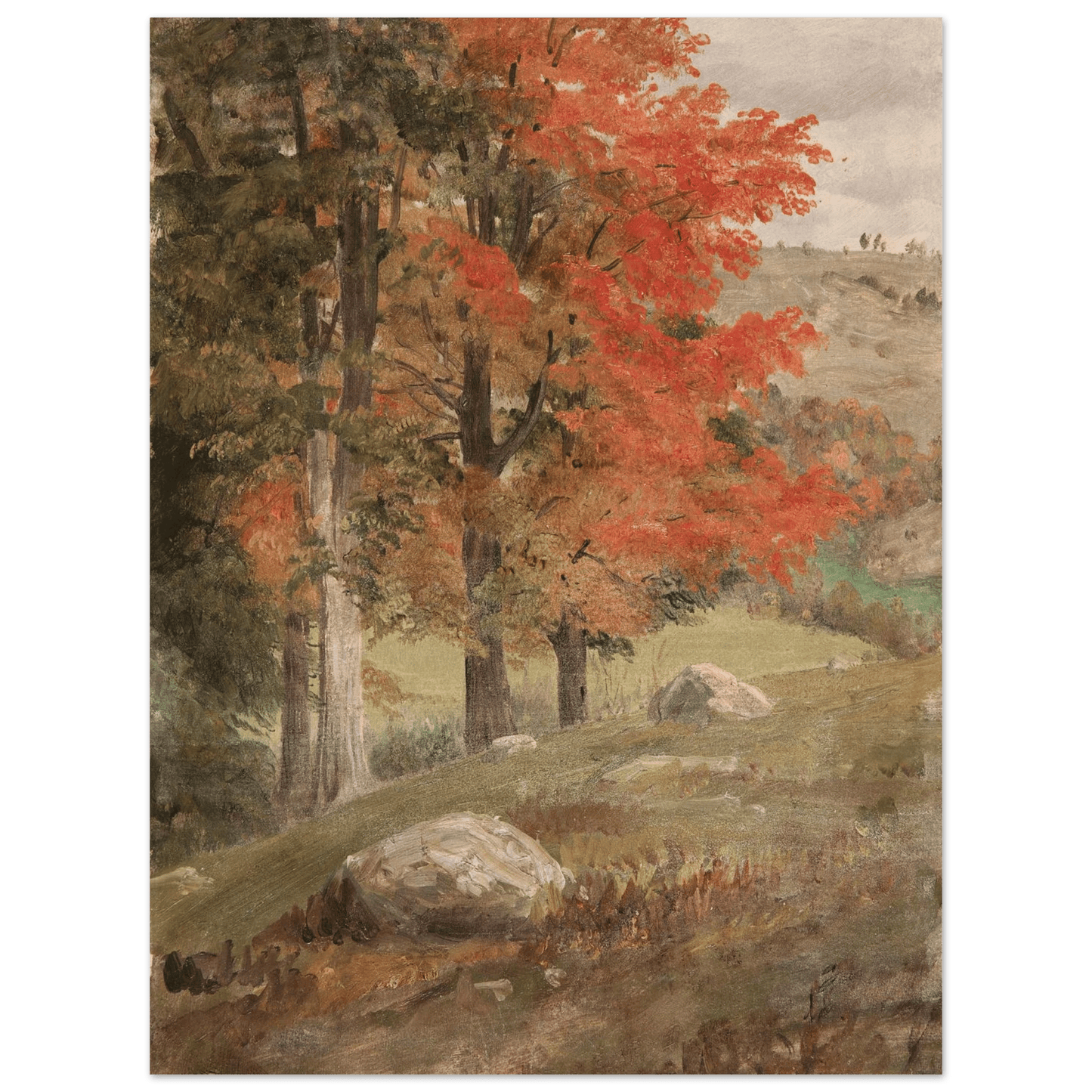 Aluminum Print | Woods in Autumn - Lyrea