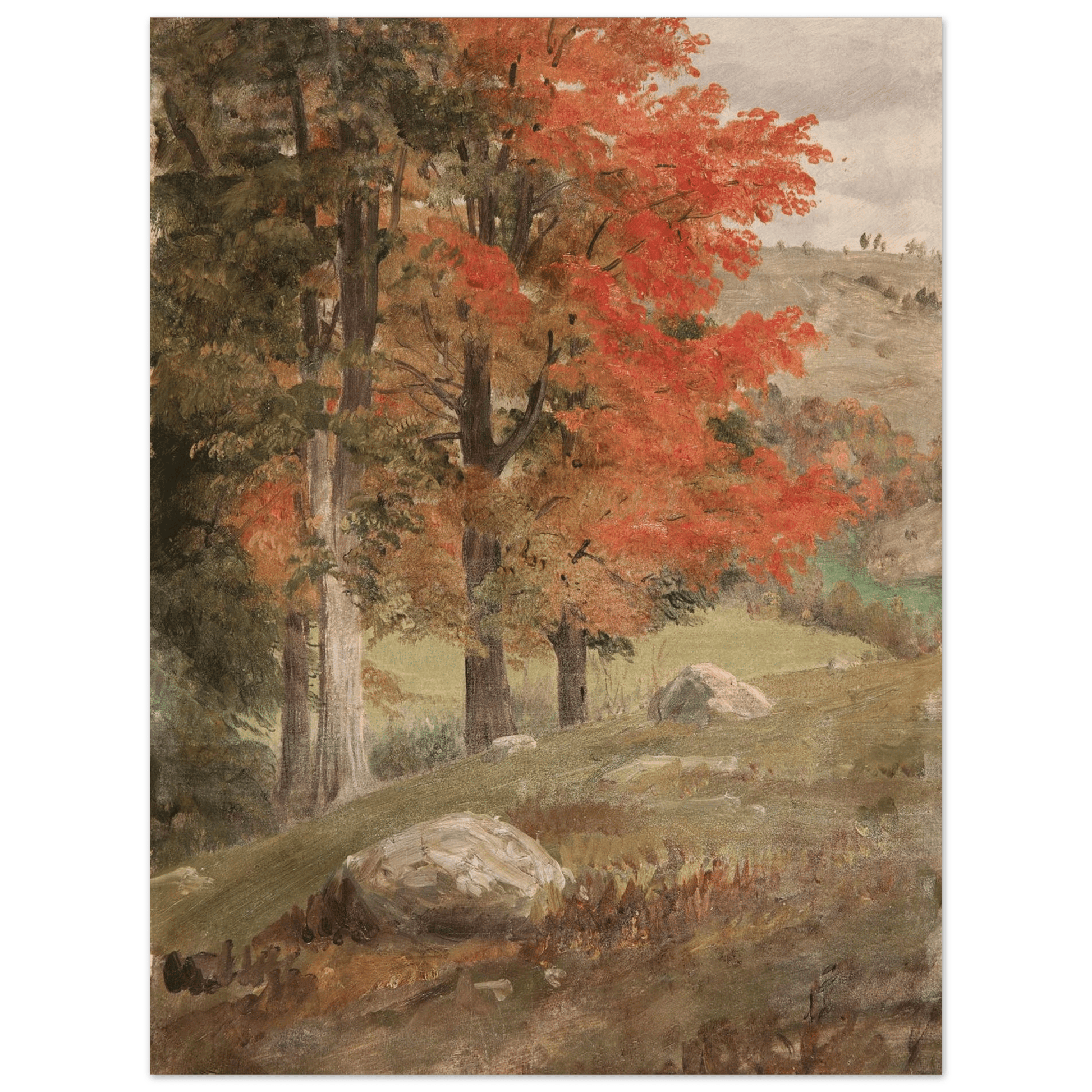 Aluminum Print | Woods in Autumn - Lyrea