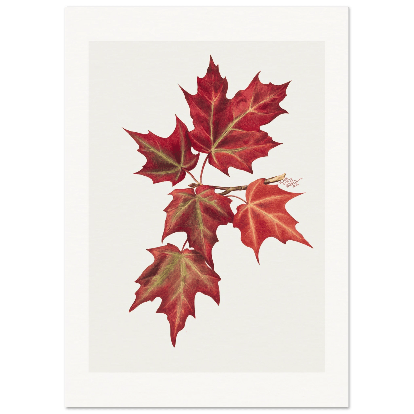 Autumn Leaves | Museum - Quality Paper - Lyrea