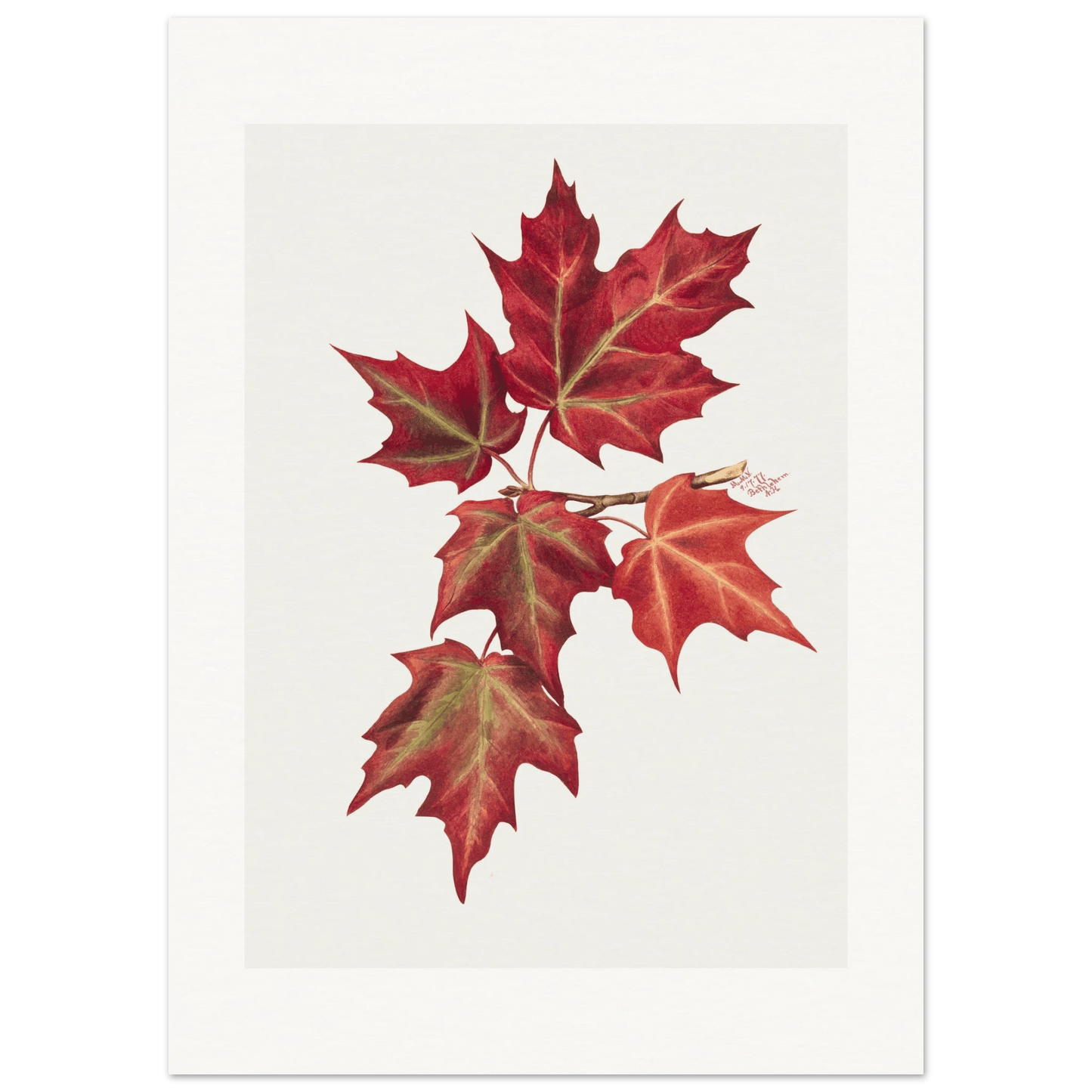Autumn Leaves | Museum - Quality Paper - Lyrea