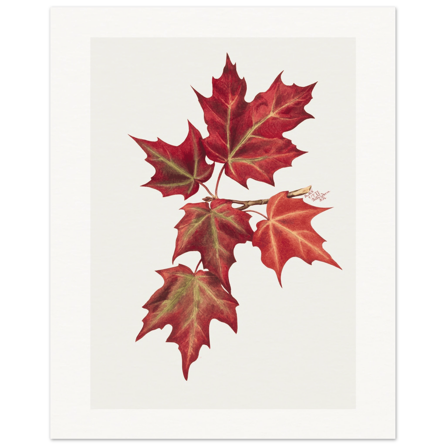 Autumn Leaves | Museum - Quality Paper - Lyrea