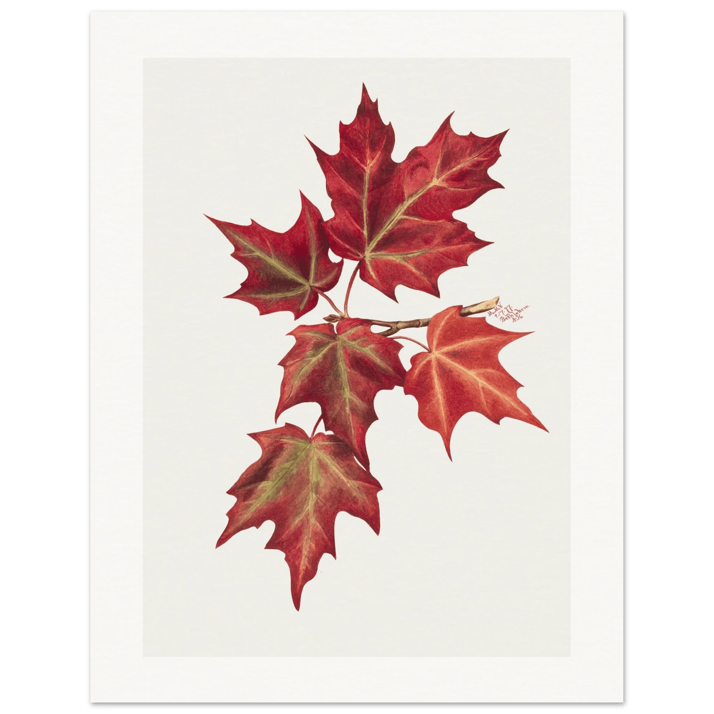 Autumn Leaves | Museum - Quality Paper - Lyrea