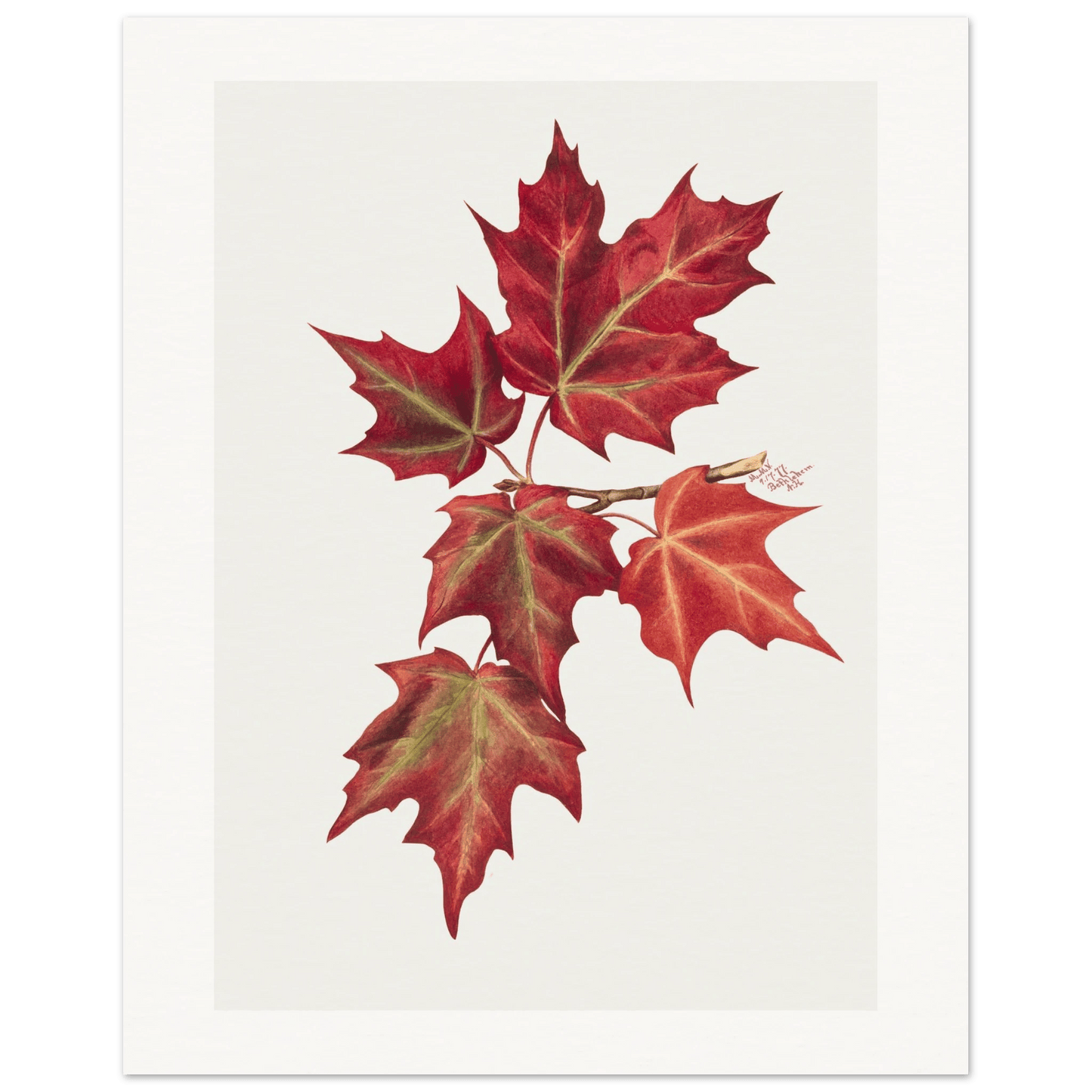 Autumn Leaves | Museum - Quality Paper - Lyrea
