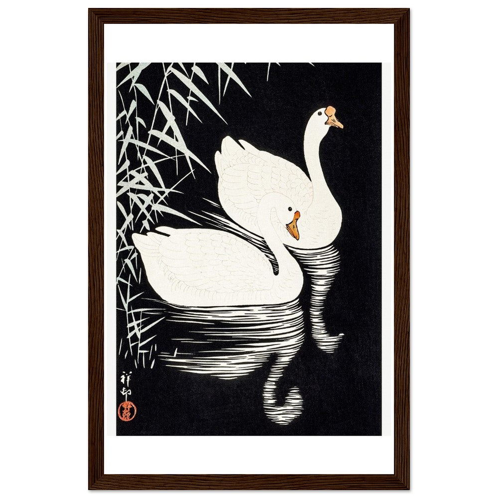 White Chinese Geese | Classic Semi - Glossy Paper Wooden Framed Poster - Lyrea