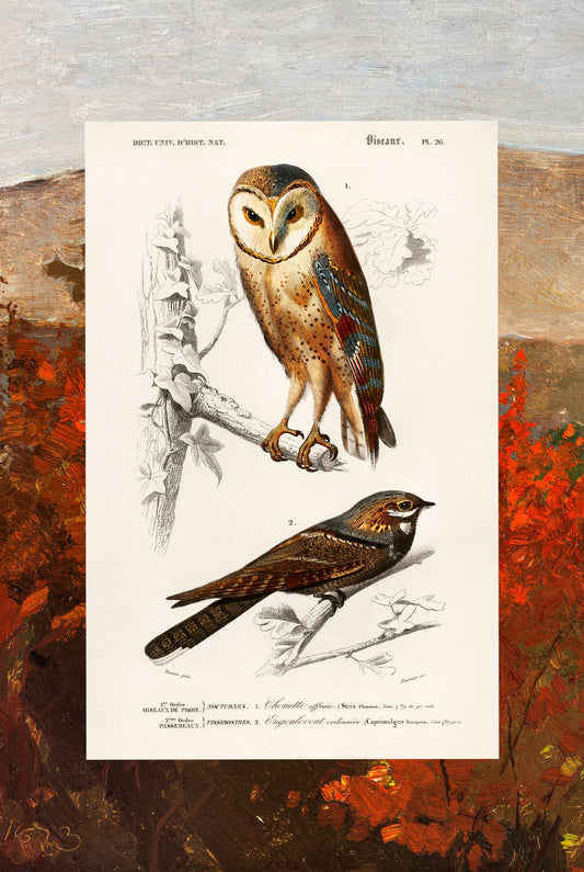 Birds and Autumn Treetops