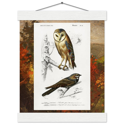 Birds & Autumn Treetops | Classic Semi - Glossy Paper Poster with Hanger - Lyrea