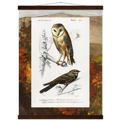 Birds & Autumn Treetops | Classic Semi - Glossy Paper Poster with Hanger - Lyrea