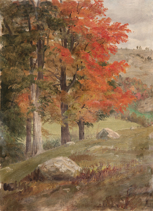 Woods in Autumn