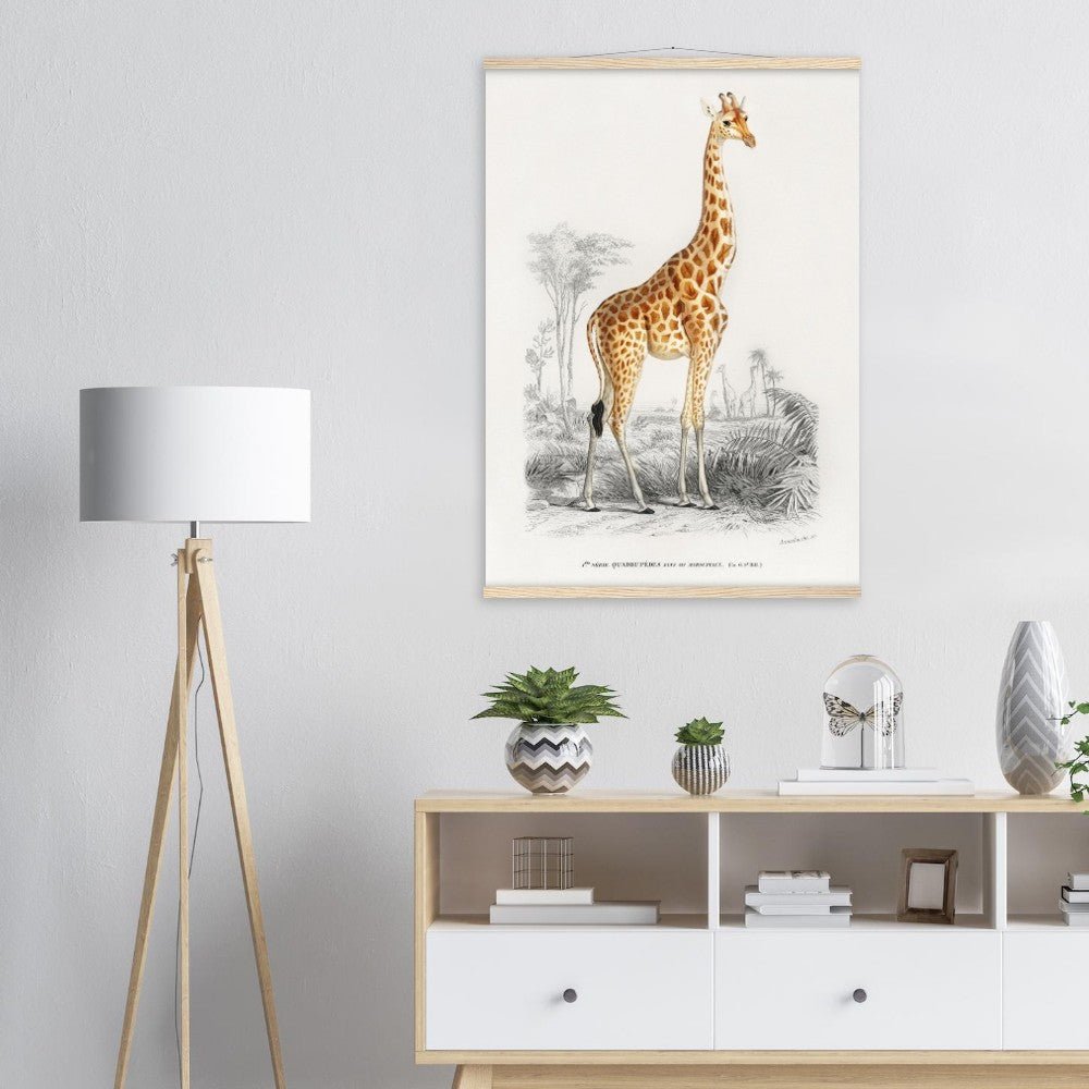 Giraffa camelopardalis | Classic Semi - Glossy Paper Poster with Hanger - Lyrea