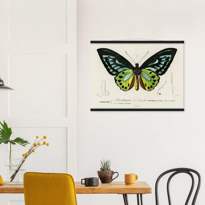 Green birdwing Classic Semi - Glossy Paper Poster with Hanger - Lyrea