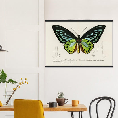 Green birdwing Classic Semi - Glossy Paper Poster with Hanger - Lyrea