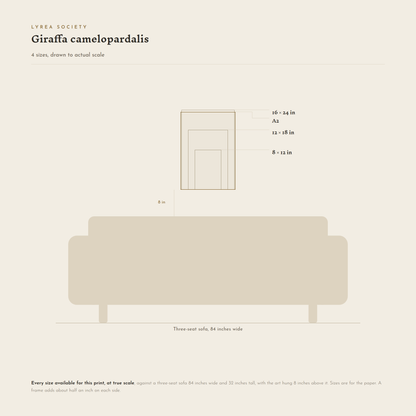 Size guide for Giraffa camelopardalis: all 4 print sizes from 8x12 inches to A2, drawn to true scale against a three-seat sofa 84 inches wide.