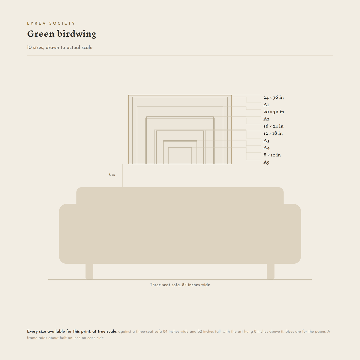 Size guide for Green birdwing: all 10 landscape print sizes from A5 to 24x36 inches, drawn to true scale against a three-seat sofa 84 inches wide.