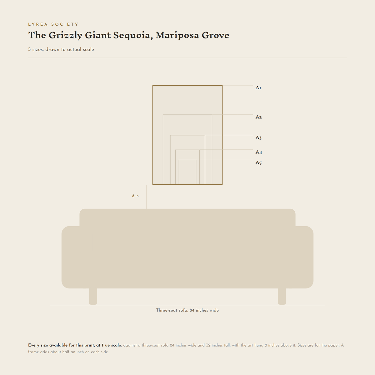 Size guide for The Grizzly Giant Sequoia: all 5 print sizes from A5 to A1, drawn to true scale against a three-seat sofa 84 inches wide.
