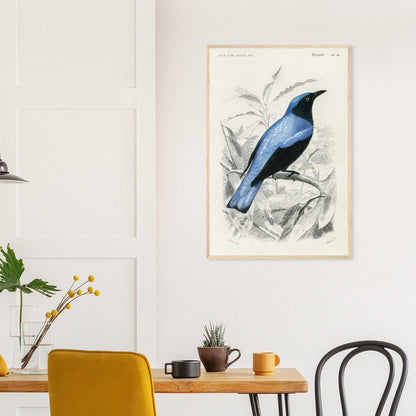 Square - tailed drongo | Classic Semi - Glossy Paper Wooden Framed Poster - Lyrea