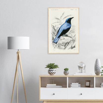 Square - tailed drongo | Classic Semi - Glossy Paper Wooden Framed Poster - Lyrea