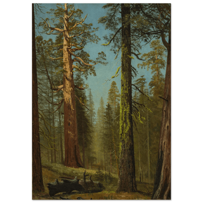 The Grizzly Giant Sequoia | Museum - Quality Paper - Lyrea