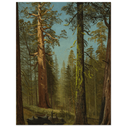 The Grizzly Giant Sequoia | Museum - Quality Paper - Lyrea
