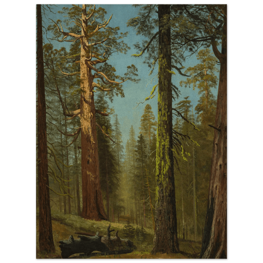 The Grizzly Giant Sequoia | Museum - Quality Paper - Lyrea