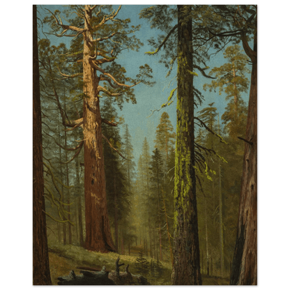 The Grizzly Giant Sequoia | Museum - Quality Paper - Lyrea