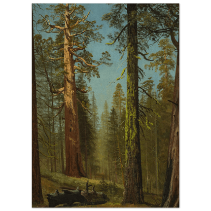 The Grizzly Giant Sequoia | Museum - Quality Paper - Lyrea