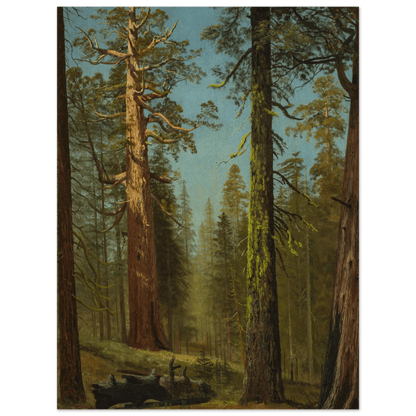The Grizzly Giant Sequoia | Museum - Quality Paper - Lyrea