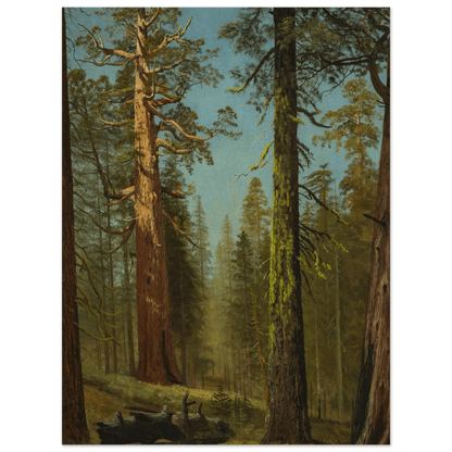 The Grizzly Giant Sequoia | Museum - Quality Paper - Lyrea