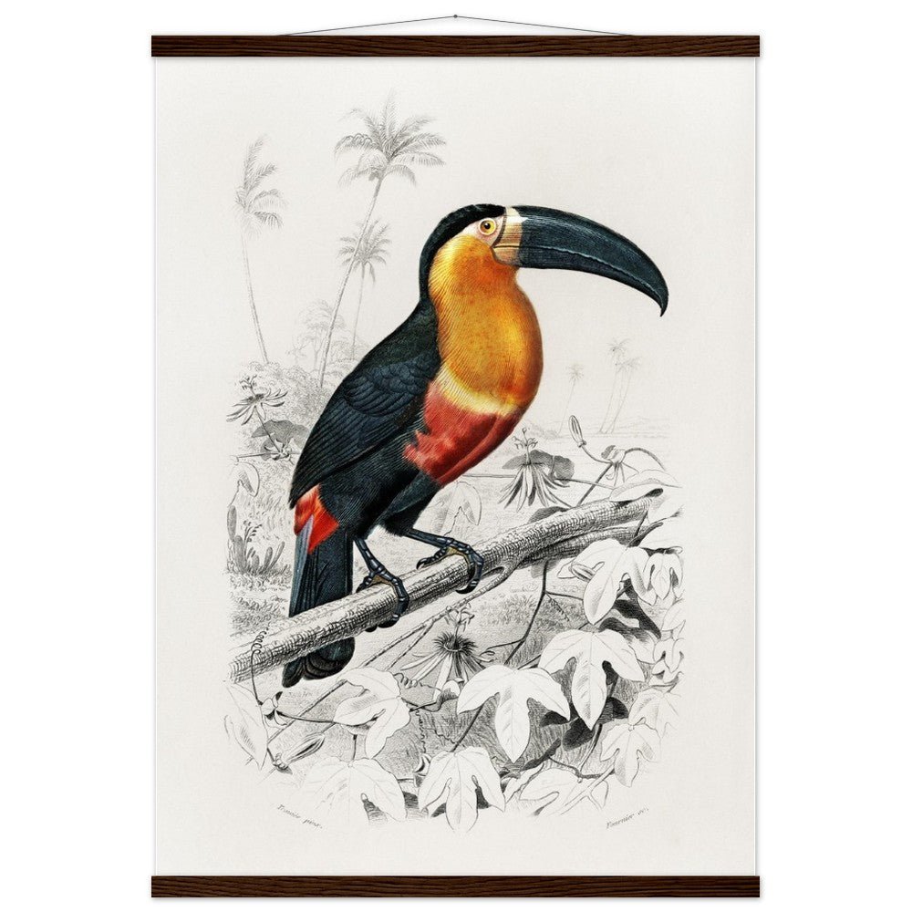 Toucan (Ramphastos) Classic Semi - Glossy Paper Poster with Hanger - Lyrea