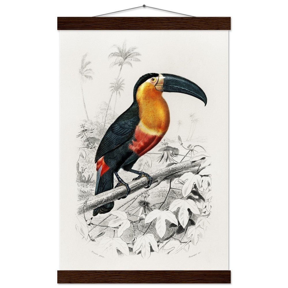 Toucan (Ramphastos) Classic Semi - Glossy Paper Poster with Hanger - Lyrea