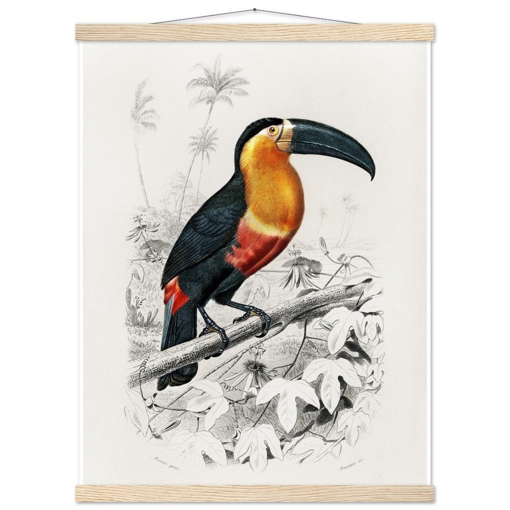 Toucan (Ramphastos) Classic Semi - Glossy Paper Poster with Hanger - Lyrea