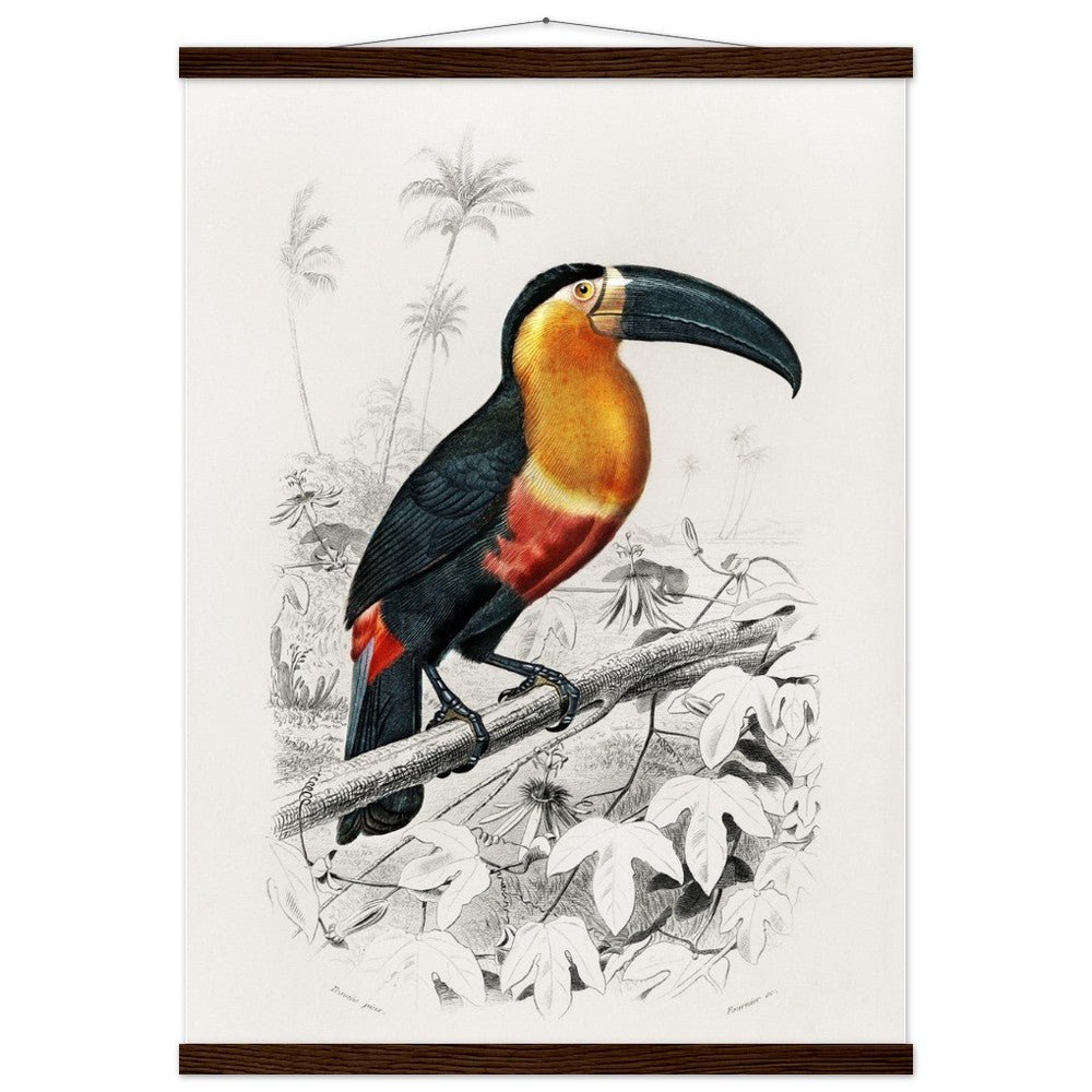 Toucan (Ramphastos) Classic Semi - Glossy Paper Poster with Hanger - Lyrea