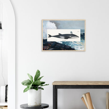 Whale (1824) & Northeaster (1895) Classic Semi - Glossy Paper Wooden Framed Poster - Lyrea