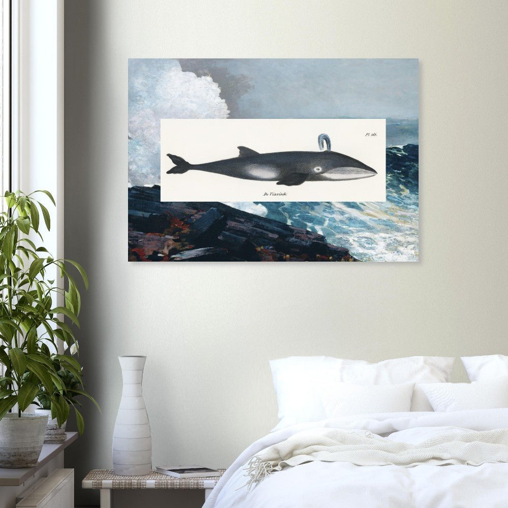 Whale (1824) & Northeaster (1895) - Lyrea