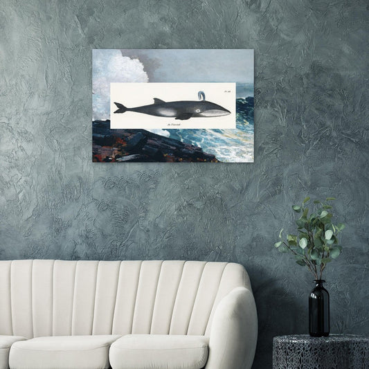 Whale (1824) & Northeaster (1895) - Lyrea