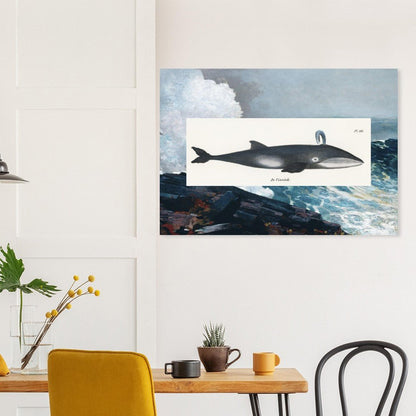 Whale (1824) & Northeaster (1895) - Lyrea