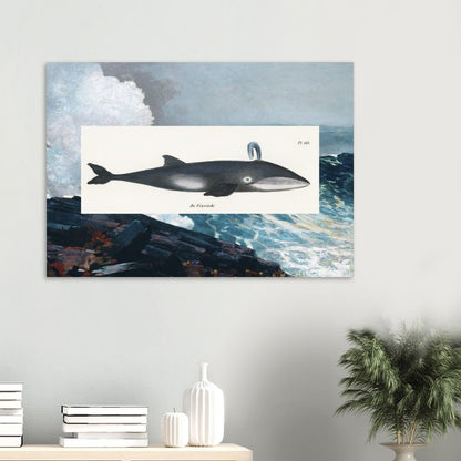 Whale (1824) & Northeaster (1895) - Lyrea