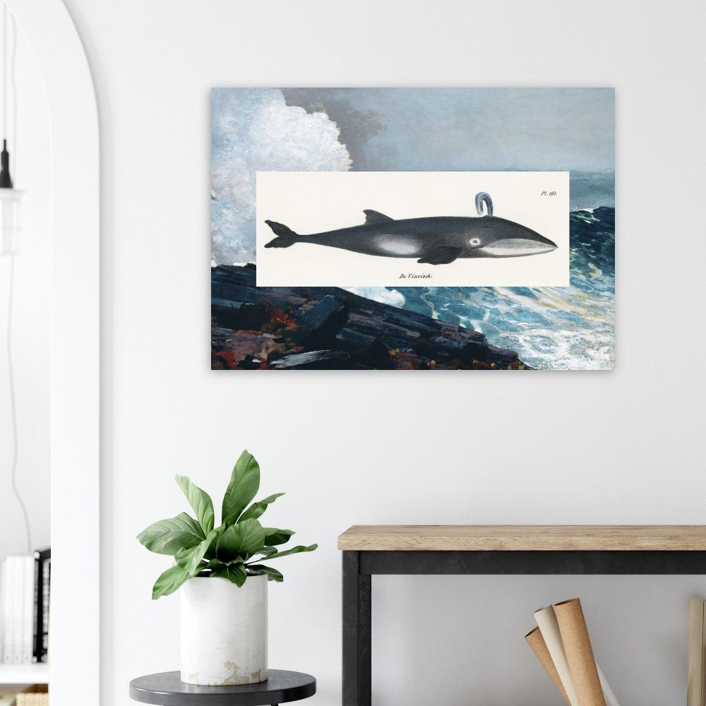 Whale (1824) & Northeaster (1895) - Lyrea