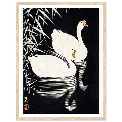 White Chinese Geese | Classic Semi - Glossy Paper Wooden Framed Poster - Lyrea