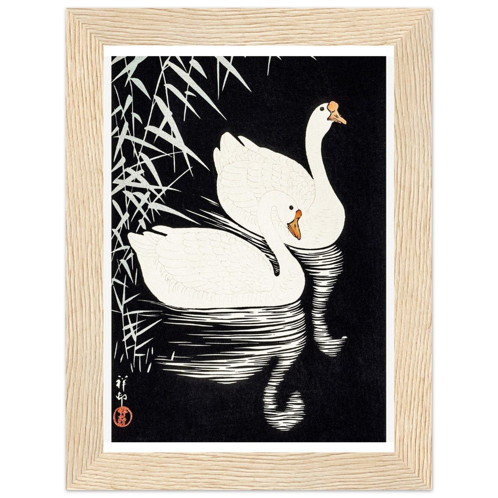 White Chinese Geese | Classic Semi - Glossy Paper Wooden Framed Poster - Lyrea