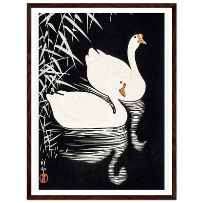 White Chinese Geese | Classic Semi - Glossy Paper Wooden Framed Poster - Lyrea