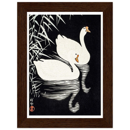 White Chinese Geese | Classic Semi - Glossy Paper Wooden Framed Poster - Lyrea