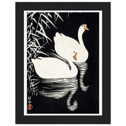 White Chinese Geese | Classic Semi - Glossy Paper Wooden Framed Poster - Lyrea