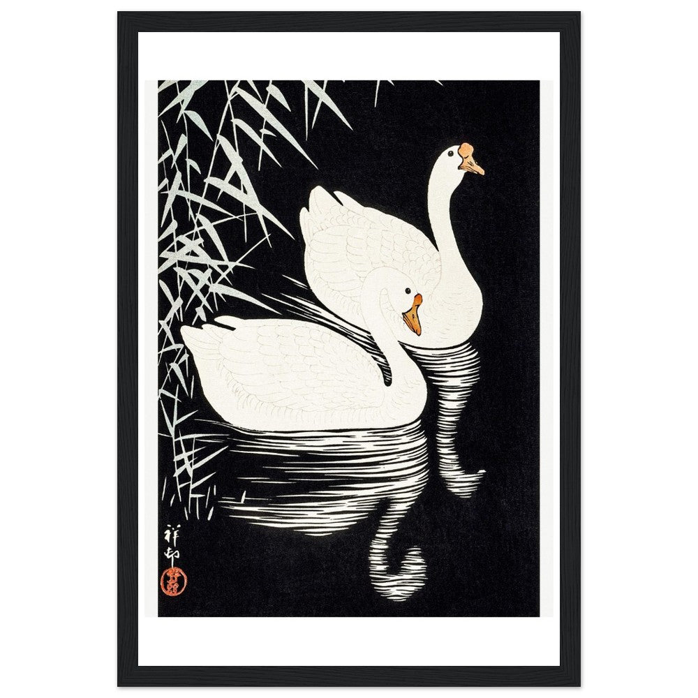 White Chinese Geese | Classic Semi - Glossy Paper Wooden Framed Poster - Lyrea