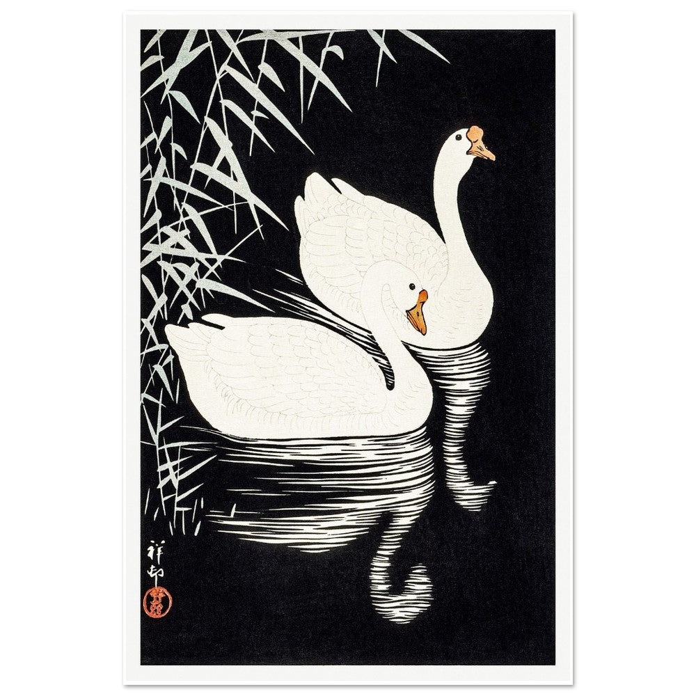 White Chinese Geese | Paper Poster - Lyrea