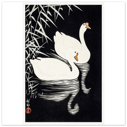 White Chinese Geese | Paper Poster - Lyrea