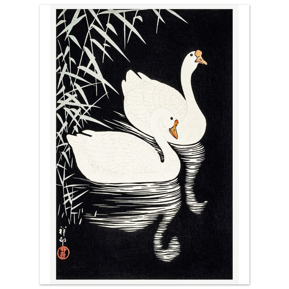 White Chinese Geese | Paper Poster - Lyrea